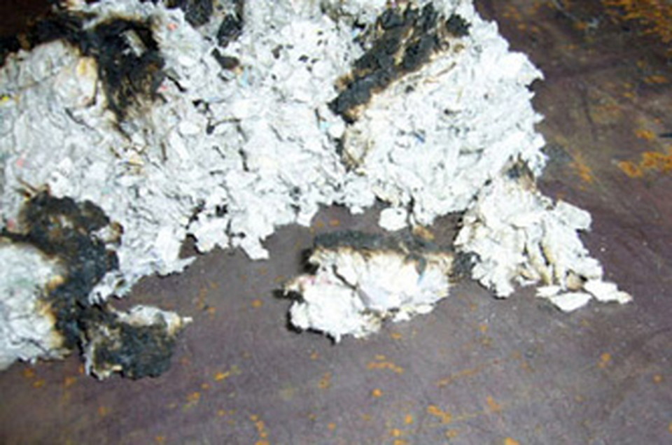 拡大してみました。内側のセルロースファイバーはきれいなままです。